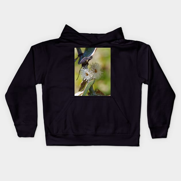 Silver Dollar Gum Flowers Kids Hoodie by DeborahMcGrath